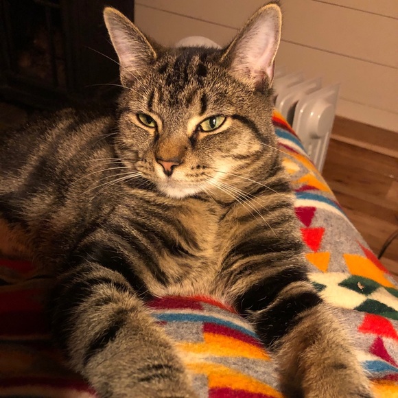 Meet your Posher, Anna - Picture 1 of 1